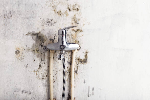 Water Damage Restoration in Oceanside, CA