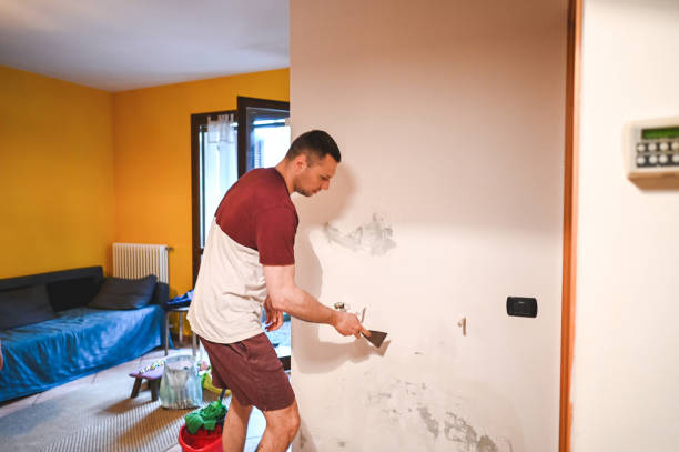 Trusted Oceanside, CA Mold Removal Experts